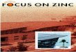 Focus On Zinc N°7