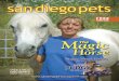 San Diego Pets Magazine | July 2011