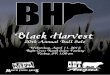 20th Annual Black Harvest Bull Sale