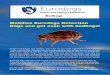 Eurodogs Flyer Bedbugs