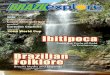 BrazilExplore Magazine - Ed056