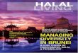 Halal Living Pilot Issue 2008