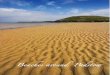 2012 Padstow Beaches Guide