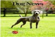 Dog News, April 29, 2011