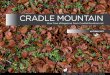Cradle Mountain Tasmania - Autumn