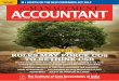 The management accountant november, 2013