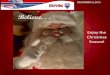 RE/MAX Of Midland - December 6th 2013