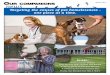 Our Companions Animal Rescue News