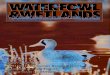 Waterfowl & Wetlands Spring 2012