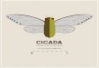 Cicada: Nature's Noisy Neighbor