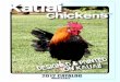 2012-Kauai Chickens® Wholesale Catalog
