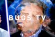 Bugs TV_Vincent Blaschka