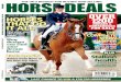 Horse Deals December Issue