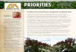 Golden Acres Priorities Newsletter - June 2011