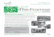 The Promise Fall 2012