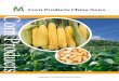 Corn Products China News 1101 Sample for 2011
