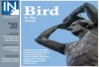 Larry Bird Tribute Issue - Nov. 8, 2013