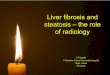 Liver fibrosis and steatosis - the role of radiology