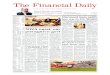 The Financial Daily-Epaper-30-10-2010