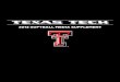 2013 Texas Tech Softball Media Supplement