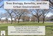 Tree Biology, Benefits, and the Urban Environment