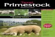 Texel Primestock Magazine