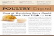 ThePoultrySite Digital - Issue 1