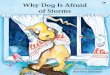 Why Dog is Afraid of Storms