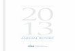 Ahla Annual Report 2013