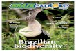 BrazilExplore Magazine - Ed088