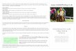 Horse Racing Form Guide 02-07-2010