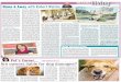Home & Away Travel Page Easter 2012