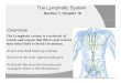 section 1, chapter 16 lymphatic system