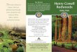 PARKS: Henry Cowell State Park Brochure