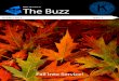 The Buzz: October 2013