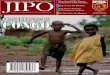 Journal of International Peace Operations Vol. 4 No. 4 (Jan-Feb 2009)