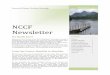 NCCF Newsletter Issue 1