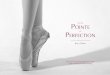 To the Pointe of Perfection