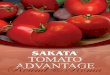 Sakata Tomato Round Roma Advantage Brochure