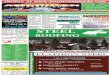 FR American Classifieds 11-24-10