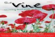 The Vine Villages - October/November 2013 - Issue 10