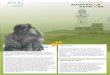 APAN Sub-regional Node flyer: Local Governments for Sustainability (ICLEI)
