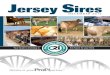December 2012 Jersey Sire Catalog