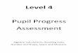Level 4 Pupil Progress Assessments