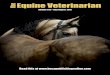 The Equine Veterinarian July/August 2012