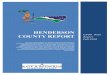 IsPOD DISTRICT REPORT - HENDERSON 11APR10
