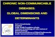 Chronic Non-Communicable Diseases: Global Dimensions and Determinants