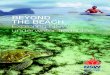 Beyond the Beach: Exploring NSW’s underwater treasures
