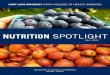 Saint Louis University's Nutrition Spotlight Newsletter