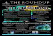 The Roundup Edition 7 (May 2010)
